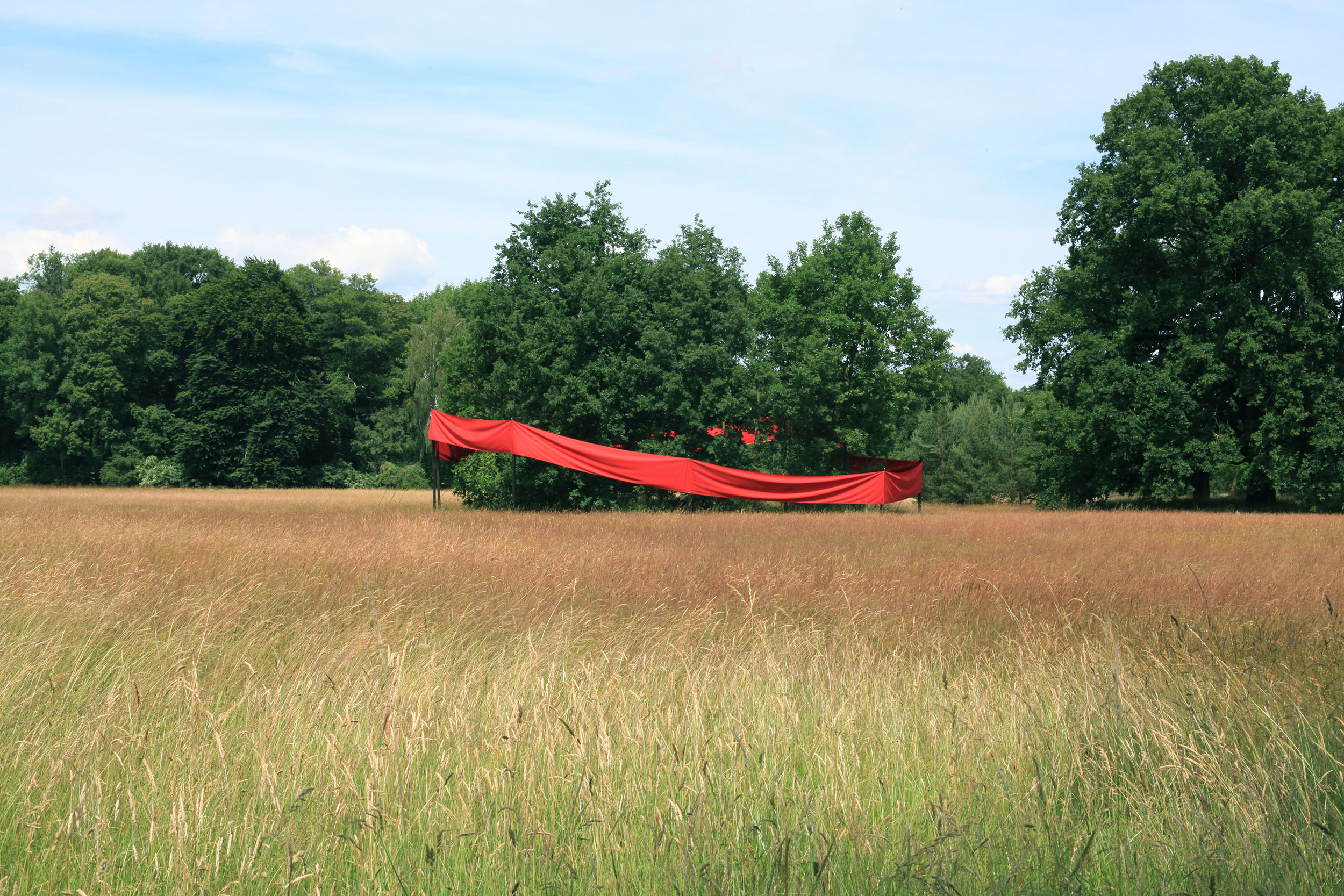 Intervention im Park Sanssouci – Ein rotes Band umhüllt eine Baumgruppe auf einem Feld