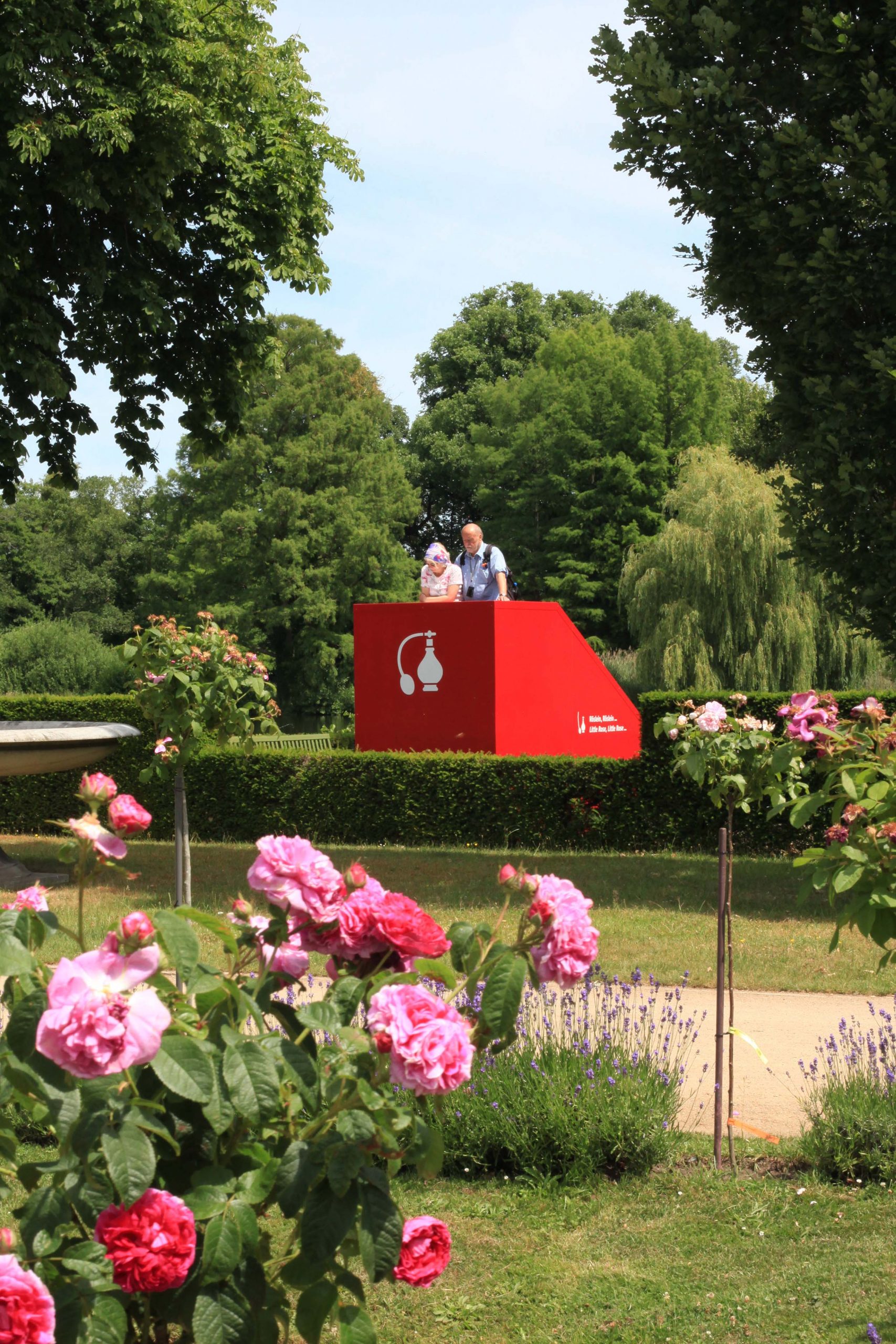 Eine rote Ausblickstation mit Info der Outdoorausstellung Paradiesapfel, im Vordergrund rote und rosafarbene Rosen.
